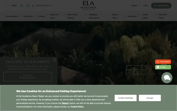Сайт Ela Excellence