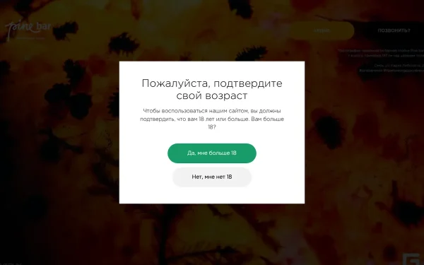 Сайт Pine